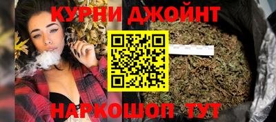 spice Моздок